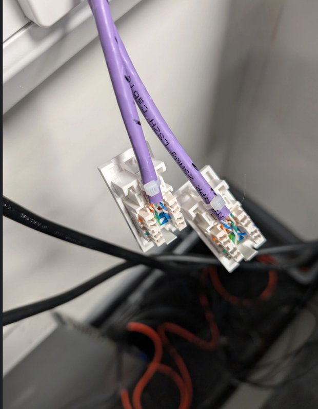 Purple OM4 Tray Curve