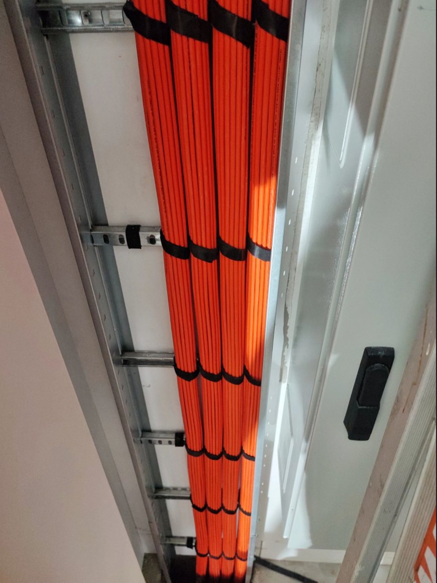 Purple OM4 Wall Tray